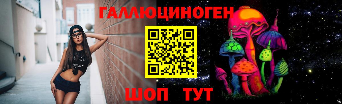 Юрга  Галлюциногенные грибы MAGIC MUSHROOMS  Вход с VPN 